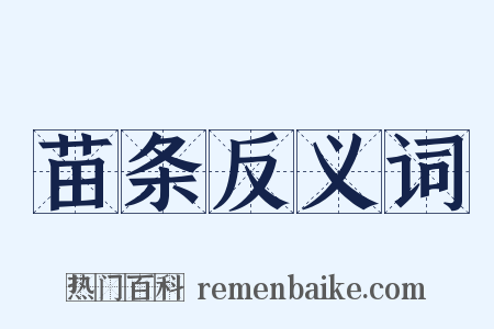 苗条反义词是什么意思的图片